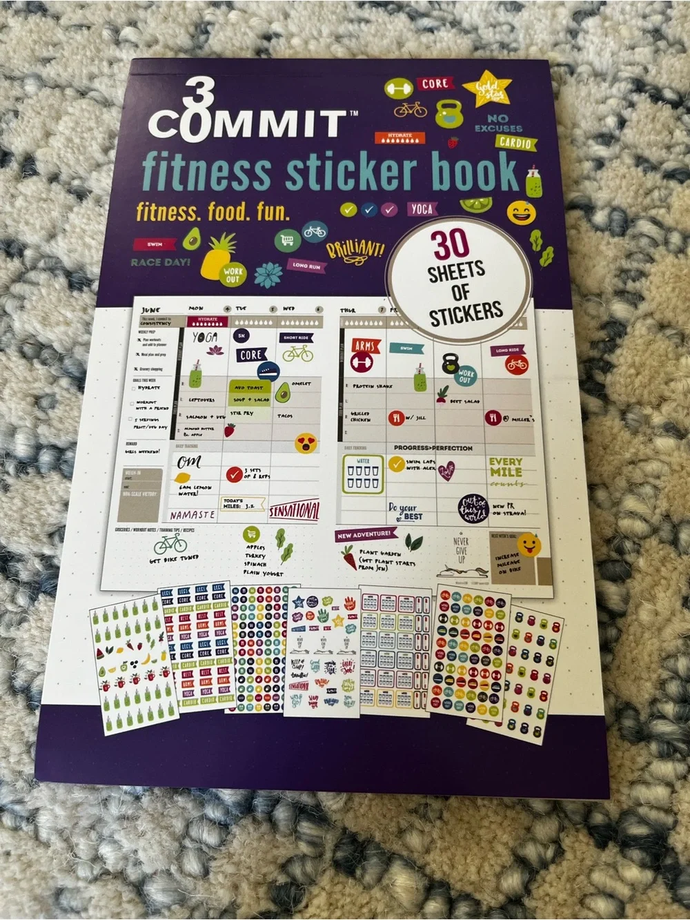 Motivational Sticker Book - for planner or calendar